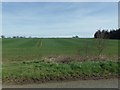 Cultivated land to the North of Heath Road