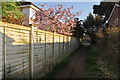 Burnham-on-Sea : Footpath