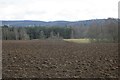 Fields, Leys of Cossans