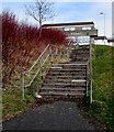 Steps up to the pub, Penrhys