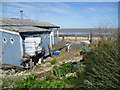 Hut at Shellbeach