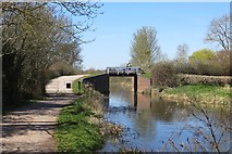 ST2825 : Bridgwater Canal, Creech St Michael by Richard Webb