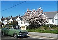 Bungalows on Southbourne Road