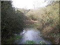 Flooded trackbed of the former Coleorton Railway