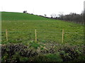 Eskermore Townland