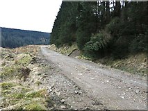 NX7297 : Forestry track on west side of Mullwhanny by wrobison