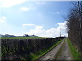 On the Ceiriog Way in spring time