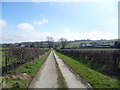 On a track above the Ceiriog Valley