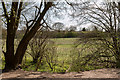 Heartwood Forest, Sandridge, Hertfordshire