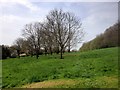 Guildford Cathedral Grounds