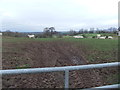 Fields at Moor Yeat