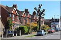 Houses on Victoria Drive