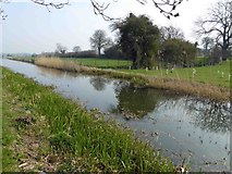 SK7385 : Chesterfield Canal near Hayton by Steve  Fareham