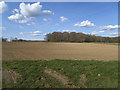 Fields east of Lympne