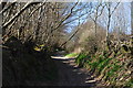 West Somerset : Long Lane