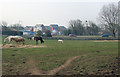 Grazing land and new houses by the A4106