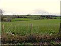 Newpark Townland