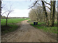 Track to Broom Cottages (in the far distance)