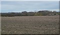 Ploughed field