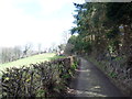 Lane above the Ceiriog Valley near Pontfadog