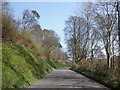 ST1437 : Minor road to Crowcombe Park Gate by Roger Cornfoot