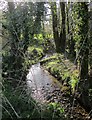 Stream, Stonaford