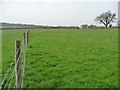 Farmland south of Hawkshead Road