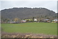 View to Moel Y Golfa