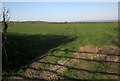 Field near Trecrogo