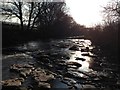 River Wear - facing West