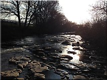 NY9038 : River Wear - facing West by Ayre