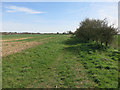 Footpath towards Henham