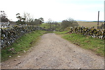 NX6383 : Southern Upland Way at Ardoch Farm by Billy McCrorie
