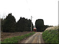 TM0361 : Dagworth Lane & footpath by Geographer