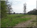 Farmland between Leggatts Wood and Well Wood