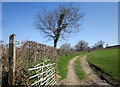 Footpath to Hurdwick Farm