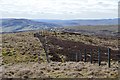 NT3525 : Fence on Rough Knowe by Jim Barton