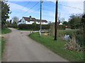 Small pond in Widdington