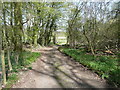 Public footpath in Wain Wood, approaching Hitchin Road, Preston