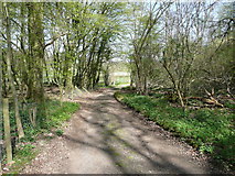 TL1825 : Public footpath in Wain Wood, approaching Hitchin Road, Preston by Humphrey Bolton