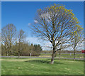 Landscaped area at Hamilton Services