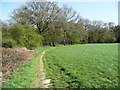 Public footpath around the western side of Wain Wood, Preston