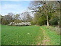 Public footpath around the western side of Wain Wood, Preston