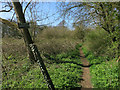 Footpath to Elsenham