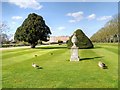 TQ1568 : Hampton Court Palace Gardens by David Dixon