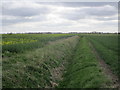 Drain near Billinghay