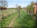 Colney Heath: Bridleway to Coopers Green Lane (1)