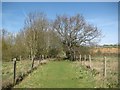 Colney Heath: Bridleway to Coopers Green Lane (3)