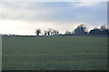 Farmland, Downham