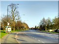 Bus Stop on London Road